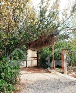 اجاره ویلا باغ دنج در ماهان