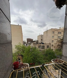 ۲۱۵متر،بالای کاج