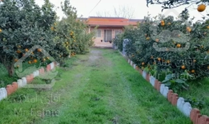 فروش ویلا باغ / تنکابن / زنگیشا محله