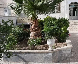 ۴۶ متری سازمان برنامه