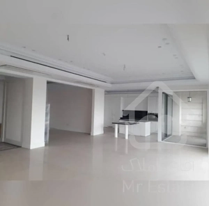 فروش 160 متر هروی