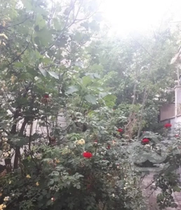 شهرزیبا/آلاله/۷۰متر ۲خواب+۴۰متر حیاط خلوت اختصاصی