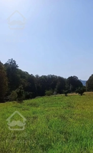 زمین جنگلی قادیکلای بزرگ با موقعیت تجاری  قادیکلا