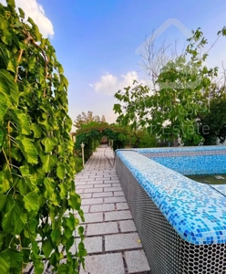 باغ ویلا شهرکی کردان طاووسیه افشاریه تهاتر