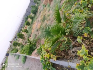 ۳۵۰مترزمین سنددار باغ وباغچه سهیلیه زعفرانیه اقبالیه