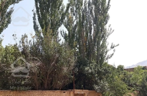 خانه باغ(طزرجان خیابان اصلی)