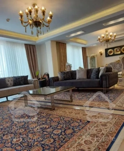 رهن کامل اپارتمان ۲۷۰متری در نیاوران