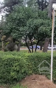 آپارتمان نقلی و شیک در بلوار معلم