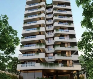 کامرانیه شمالی  شیبانی