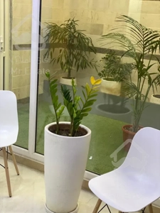 آپارتمان ۵۸ متری سعادت آباد مروارید