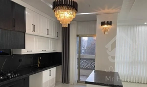 ۱۵۵متری / بهترین کوچه زیباشهر/ دولتیان