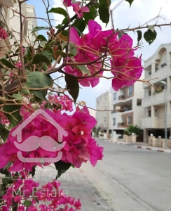 نوبنیاد۱،یکخواب،روبنما