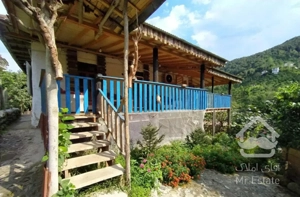 اجاره روزانه ویلا جنگلی