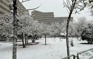 ۳ خواب / فاز یک اکباتان