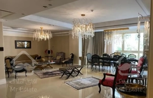 اجاره اپارتمان 170 متر در تاپ لوکیشن دولت