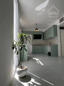 فروش آپارتمان ۵۹ متری یک خوابه سالن پرده خور در فردوس