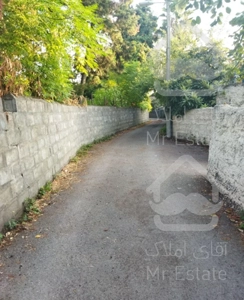 ویلا ساحلی و جنگلی دربست مجرد و خانواده