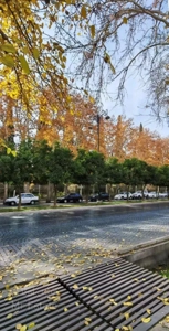 ۲۳۰متر‌ ۳خواب سالن بزرگ‌«ارم‌»