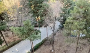 ۴ خواب بالای ورزشگاه فوری فروشی