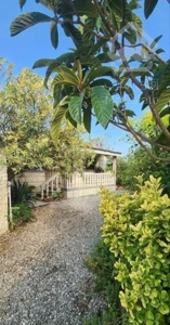 ویلا باغ فلت جنگلی با لوکیشن زیبا ۲۶۰متری