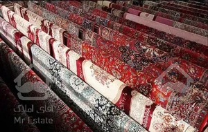 قالیشویی سراج شمرانو اردیبهشت رسالت هنگام قالی شوی