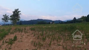 فروش زمین هکتاری جنگلی دارای کاربری