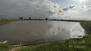 زمین 30 هکتاری در شمال با امکانات بینظیر