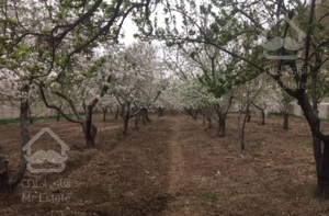 باغ ۳۰۰۰ متر مربع