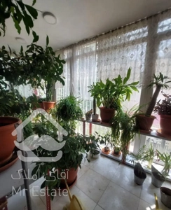 آپارتمان ۱۷۰ متر سلیمانی شرقی