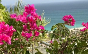 ویلایی رسالت/محمدی