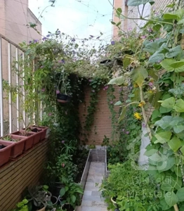 ۹۵ متری /حکیمیه/حیات خلوت اختصاصی/سند تک برگ