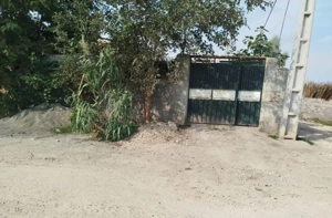 زینوند خیابان امام کوچه شهید فتحی