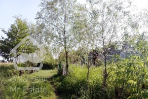 خانه ویلایی نیمه ساز 200متری سیاهکل