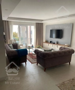 ۱۰۰متری ،۲ خوابه ،نیاوران