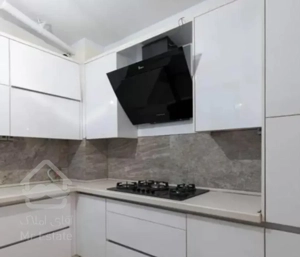 فروش 98 متر دولت