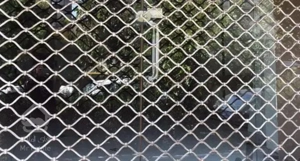 مغازه 21 متری جردن