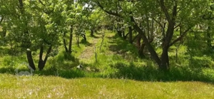 زمین در تهراندشت، سرخاب، قاسم آباد آقا بورس ترین منطقه