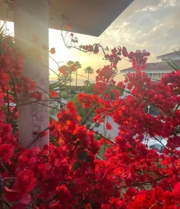 فروش ویلا ساحلی در شهرک دریاکنار