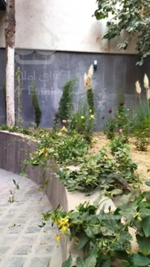 رهن آپارتمان ۱۲۰ متری شریفی منش