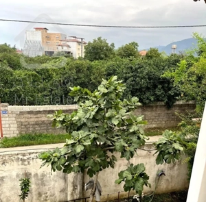 اجاره ویلا روزانه