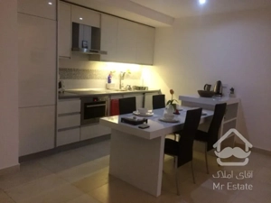 زعفرانیه ۱۱۰ متر ۸۰ متر بالکن