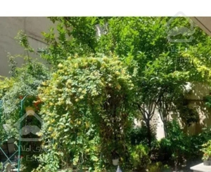 ٩٨متردوخوابه