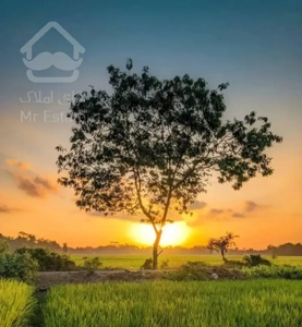 باغ ویلا اوشان فشم میگون