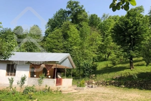 اجاره ویلا جنگلی