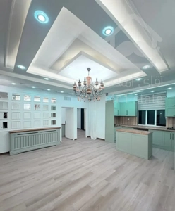 60متر لمس ظرافت در هر سانتی متر/سندتک برگ