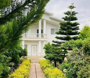 دوبلکس کلاسیک رومی۴۰۰متری/فول مبله/ ویو جنگل