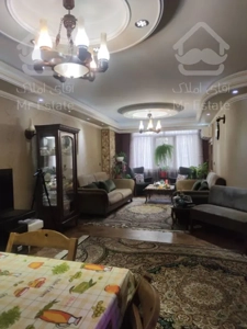 ۹۰متر سازمان جنوب ، سالن پرده خور