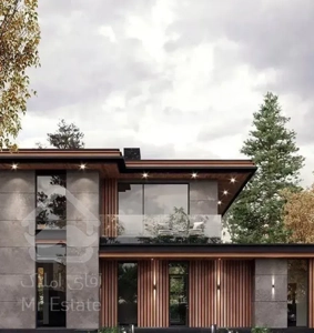 ویلای ژورنالی مدرن سند تک برگ ریشه پاک