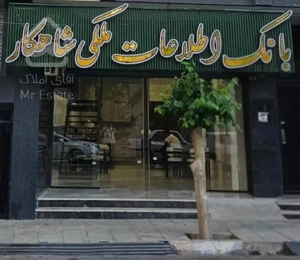 ۲۴۰ متر   ویودار   مشابه پنت  تکمیل  خوش فی