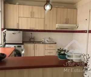 آپارتمان ۵۵متر یک خواب